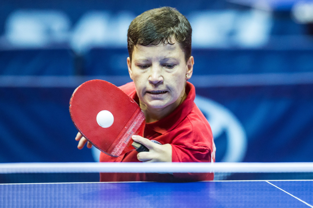 © Sportida (Celje, 2018)
